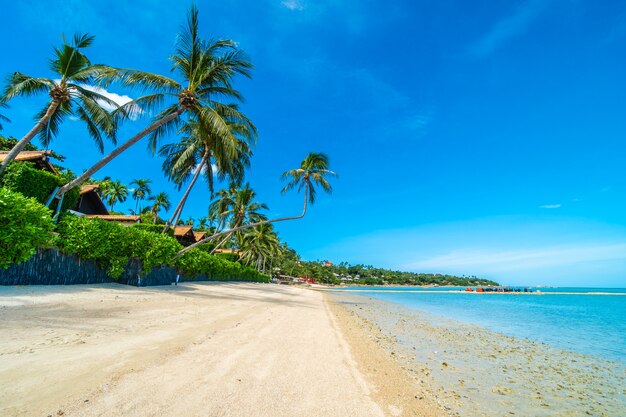 Mar y arena tropicales hermosos de la playa con la palmera del coco en el cielo azul y la nube blanca