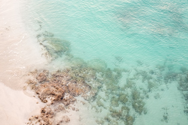 Mar azul claro con corales y una playa de arena