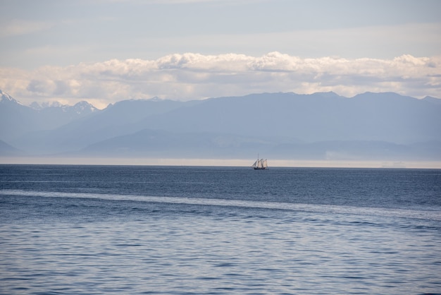 Foto gratuita mar en calma con un horizonte despejado capturado en un día nublado