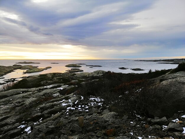 Mar rodeado de rocas cubiertas de ramas bajo un cielo nublado durante la puesta de sol en Noruega