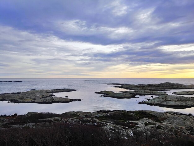 Mar rodeado de rocas cubiertas de ramas bajo un cielo nublado durante la puesta de sol en Noruega