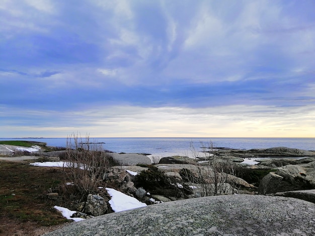 Mar rodeado de rocas cubiertas de ramas bajo un cielo nublado durante la puesta de sol en Noruega