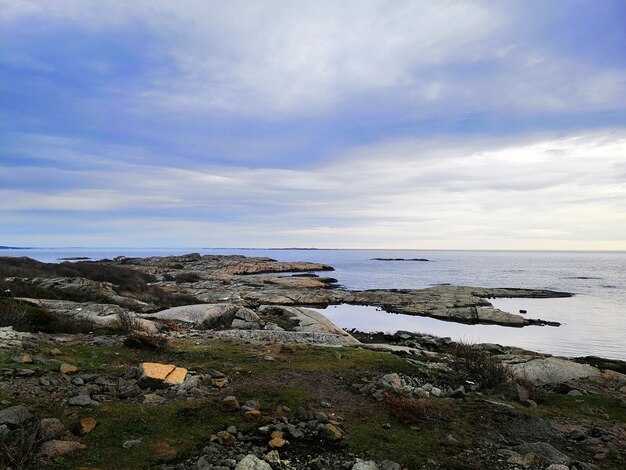 Mar rodeado de rocas cubiertas de ramas bajo un cielo nublado