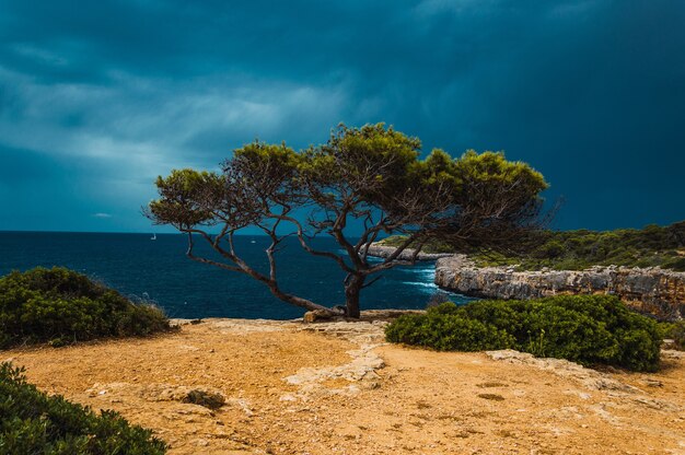 Mar rodeado de rocas y vegetación bajo un cielo nublado por la noche