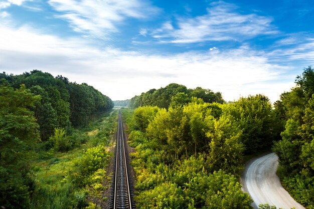 Maravillosa vista del ferrocarril y camino rural entre árboles.