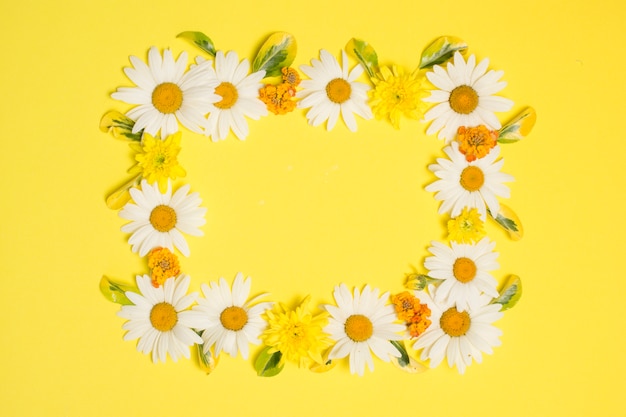 Foto gratuita maravillosas flores brillantes en forma de marco