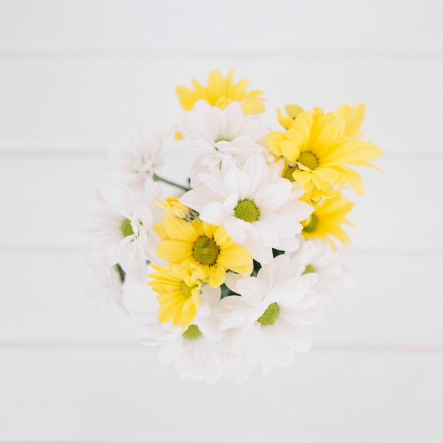 Maravillosas flores de colores desde arriba