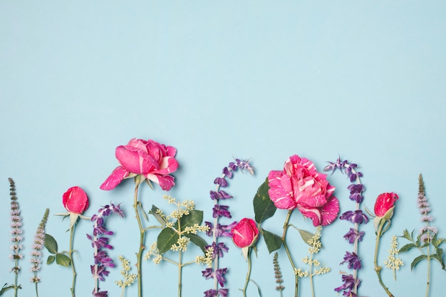 Maravillosas flores rosas y violetas.