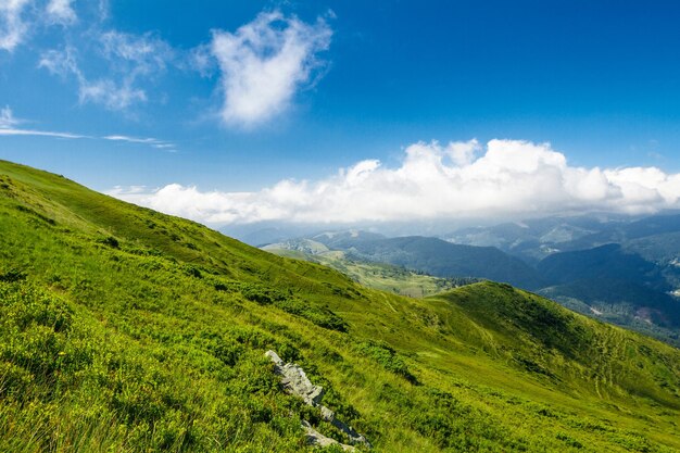 Maravilloso paisaje de las montañas de los Cárpatos ucranianos