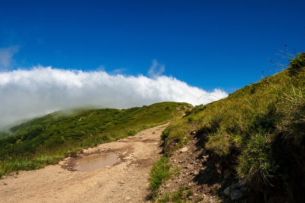 Maravilloso paisaje de montañas de los Cárpatos ucranianos.