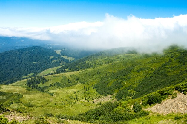 Maravilloso paisaje de montañas de los Cárpatos ucranianos.