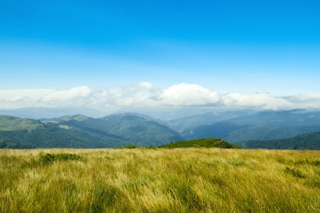 Maravilloso paisaje de montañas de los Cárpatos ucranianos.