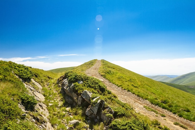 Maravilloso paisaje de montañas de los Cárpatos ucranianos.