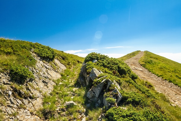 Maravilloso paisaje de montañas de los Cárpatos ucranianos.