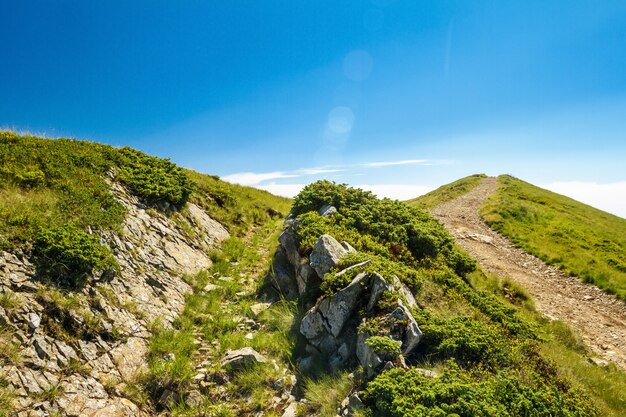 Maravilloso paisaje de montañas de los Cárpatos ucranianos.