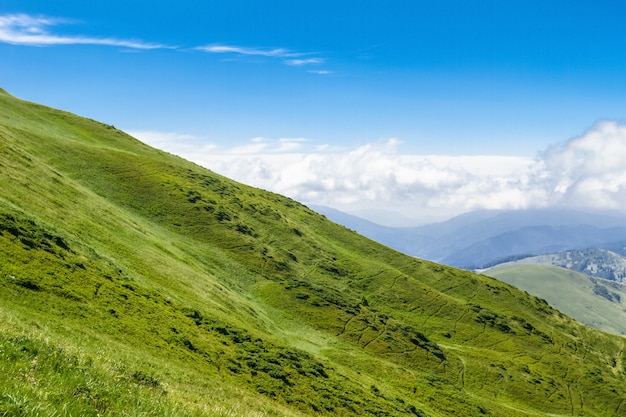 Maravilloso paisaje de montañas de los Cárpatos ucranianos.