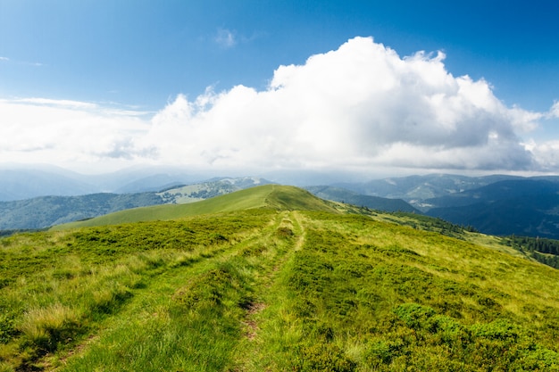 Foto gratuita maravilloso paisaje de montañas de los cárpatos ucranianos.