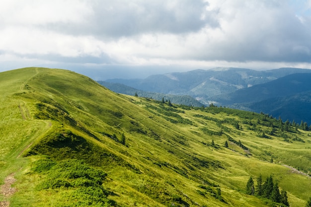 Maravilloso paisaje de montañas de los Cárpatos ucranianos.