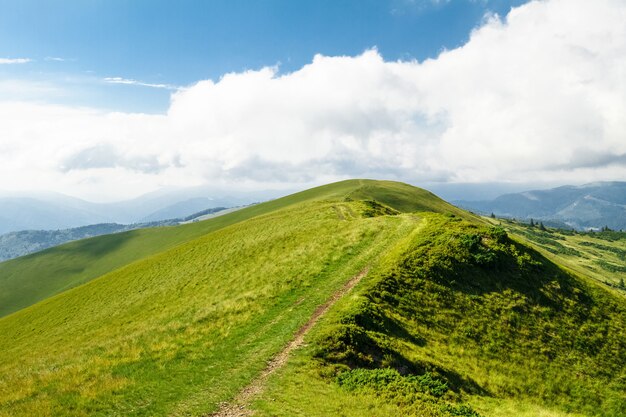 Maravilloso paisaje de montañas de los Cárpatos ucranianos.