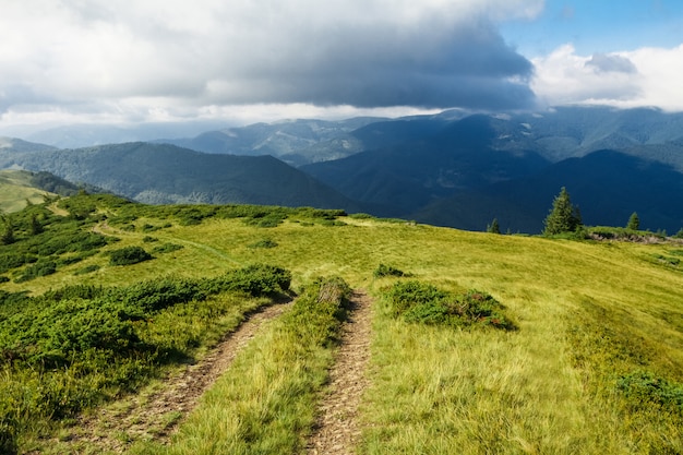 Maravilloso paisaje de montañas de los Cárpatos ucranianos.