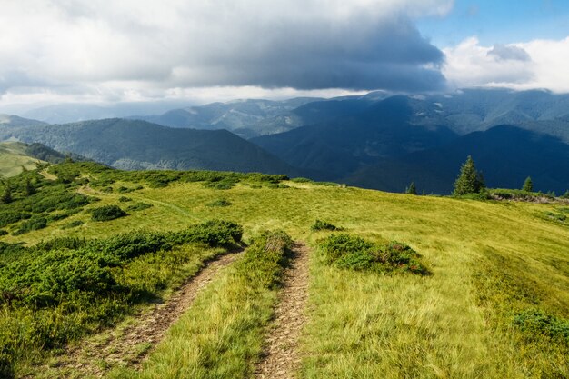 Maravilloso paisaje de montañas de los Cárpatos ucranianos.