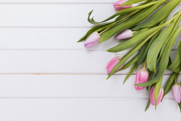 Maravillosos tulipanes delicados en blanco