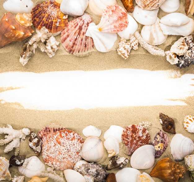 Foto gratuita marco de arena y conchas marinas
