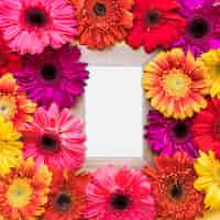 Foto gratuita marco en blanco en diferentes flores