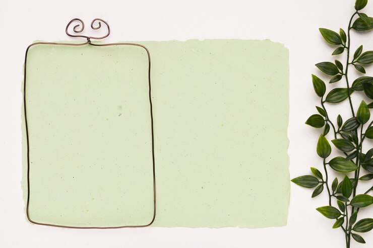 Foto gratuito marco de borde metálico sobre papel verde menta cerca de las hojas sobre fondo blanco.