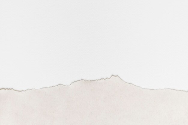 Marco de bordes de papel blanco rasgado con fondo DIY