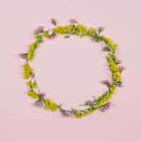 Foto gratuita marco circular en blanco hecho con limonium y vara de oro amarilla o flores de solidago gigantea sobre fondo rosa