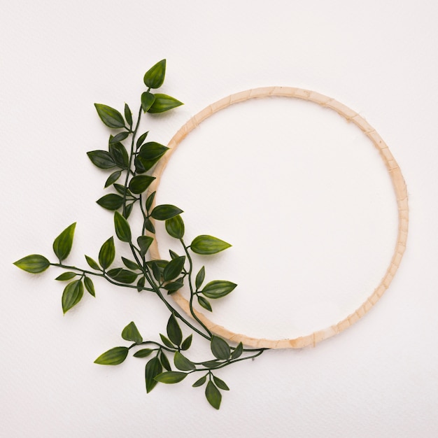 Foto gratuita marco de círculo de madera con hojas artificiales verdes sobre fondo blanco.