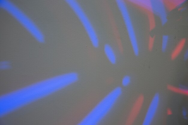Foto gratuita marco completo de hoja de monstera con luz azul.
