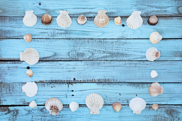 Marco de conchas marinas planas en tablero de madera