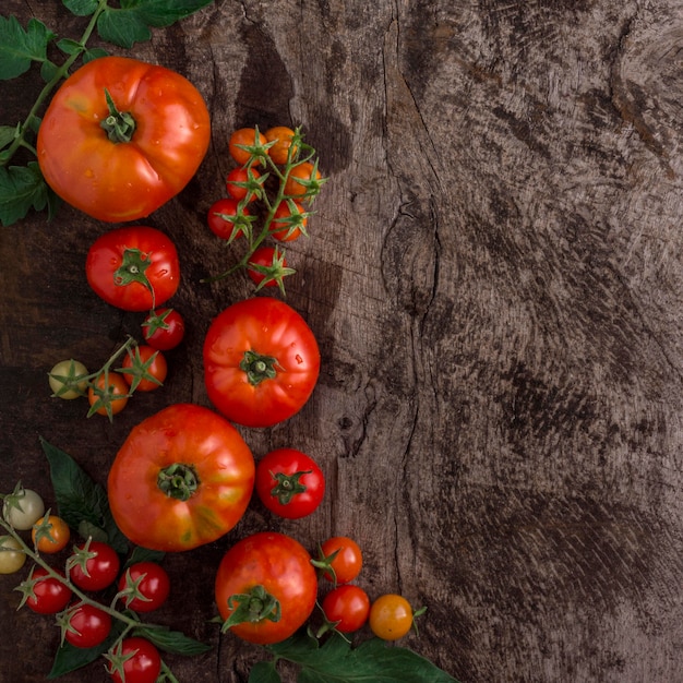 Foto gratuita marco de deliciosos tomates vista superior