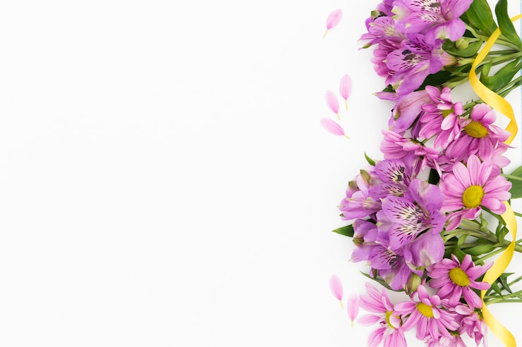 Foto gratuito marco floral plano laico con fondo blanco