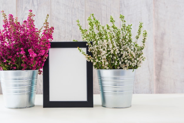 Marco de fotos blanco entre las flores rosadas y blancas en una olla de aluminio.