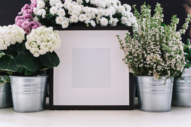 Marco de fotos blanco rodeado de hermosas flores en maceta