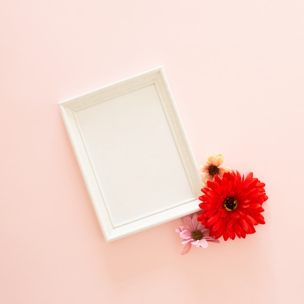 Marco de fotos y flor de gerbera.