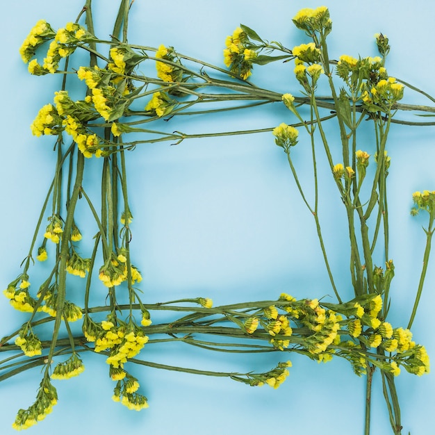 Marco de la frontera hecho con flores amarillas sobre fondo azul