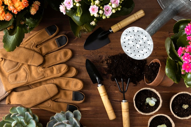 Marco de herramientas para jardinería