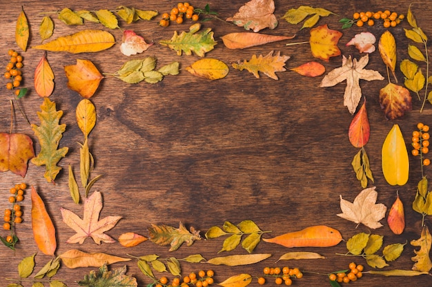 Marco de hojas de otoño sobre fondo de madera