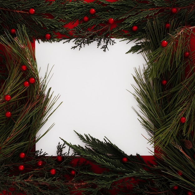 Marco de hojas de pino de Navidad con un marco en blanco para texto