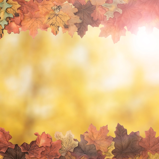 Marco lateral de follaje de otoño