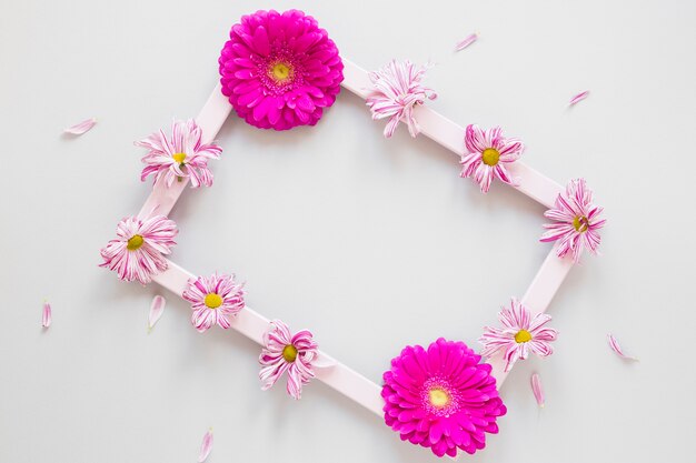 Marco minimalista con flores de gerbera y pétalos.