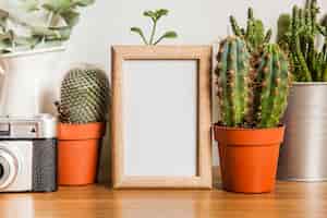 Foto gratuita marco pequeños y unos cactus