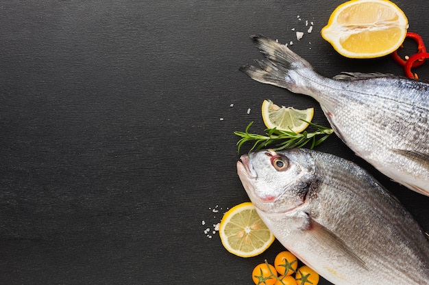 Foto gratuita marco de pescado de vista superior con espacio de copia