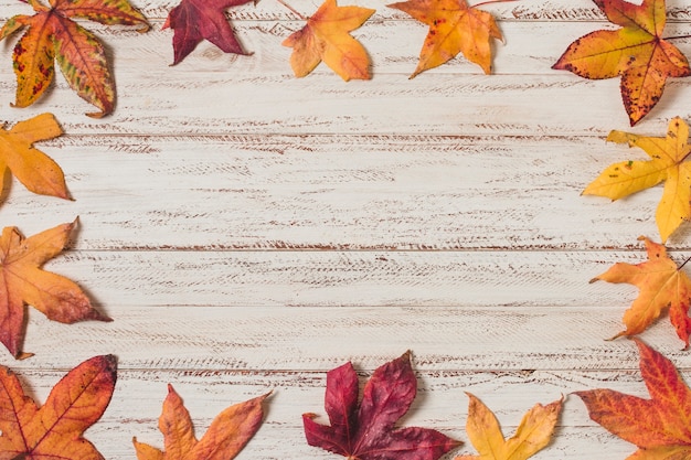 Marco plano de hojas de otoño laico