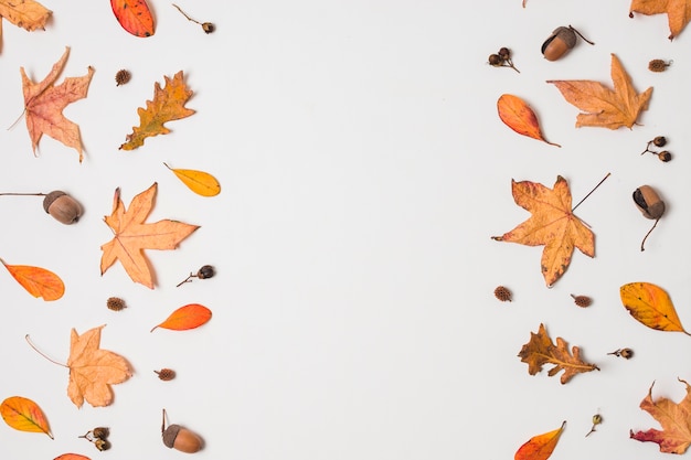 Marco plano de hojas de otoño laico