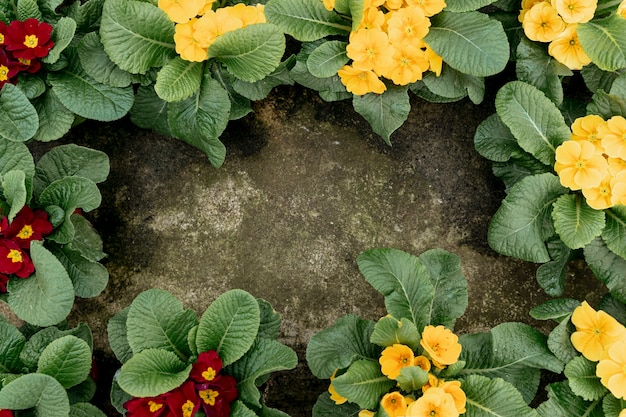 Foto gratuita marco plano laico con flores y fondo de estuco